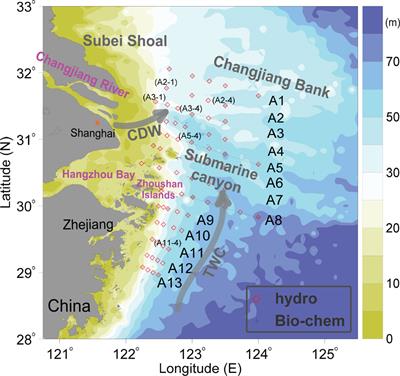 Spatial variability of hypoxia and coupled physical-biogeochemical controls off the Changjiang (Yangtze River) Estuary in summer